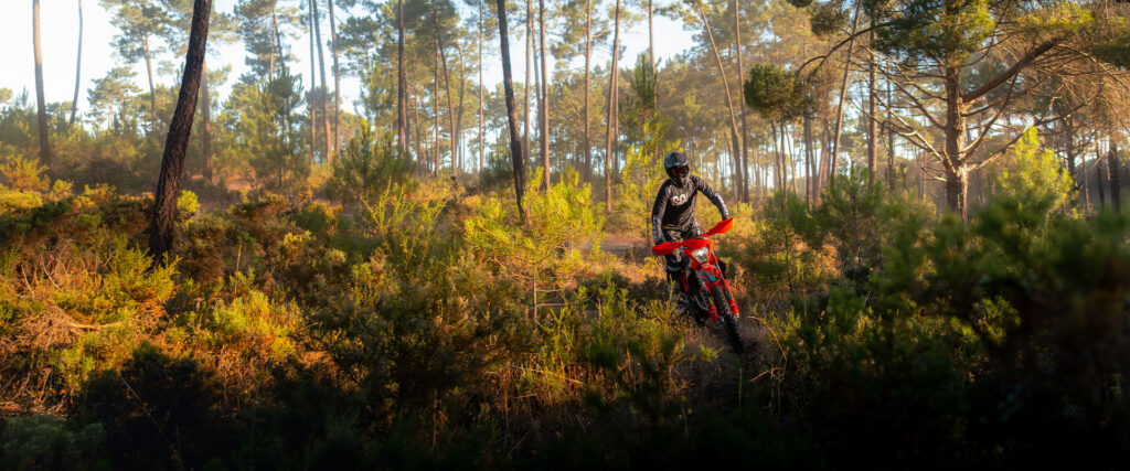 KTM 350 EXC-F Six Days 2027 sur un sentier au milieu de pins et de broussailles
