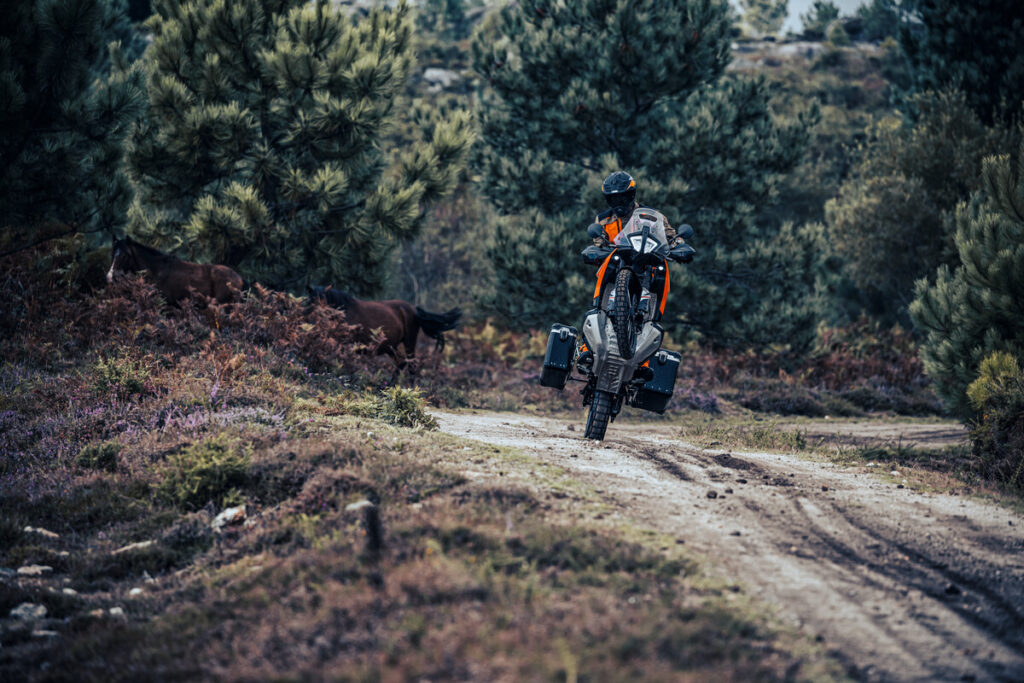 KTM 890 Adventure orange équipée de valises, pilote casqué sur une piste de terre entre les pins